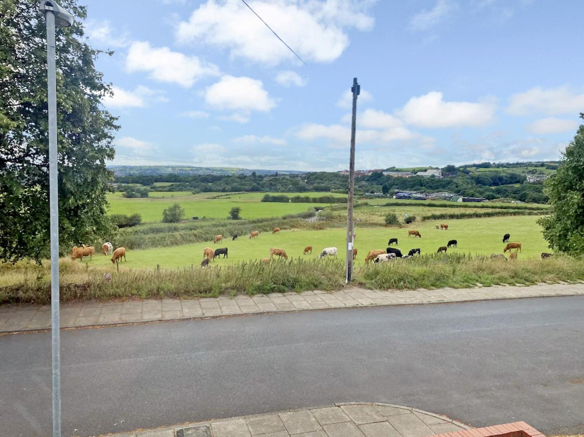 A Spacious From With Spectacular Views Holiday home